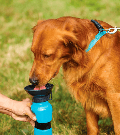 Aqua Dog Water Bottle