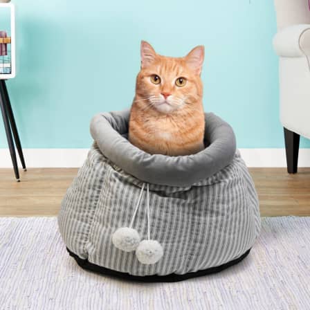 Cat Snugly PET Bed