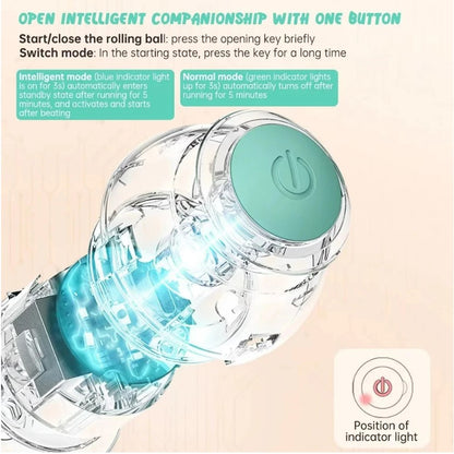 USB Charging Automatic 360 Degree Automatic Pet Rolling Ball For Puppy Cats Kitten - Blue